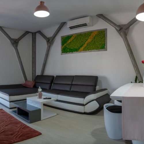 Deluxe 2-Room Apartment for 4 Persons