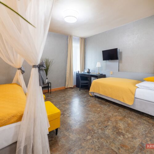 Deluxe Double Room (extra beds available)