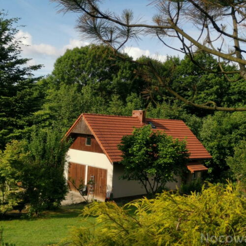 Apartament 4-osobowy na parterze z widokiem na las z 2 pomieszczeniami sypialnianymi (możliwa dostawka)