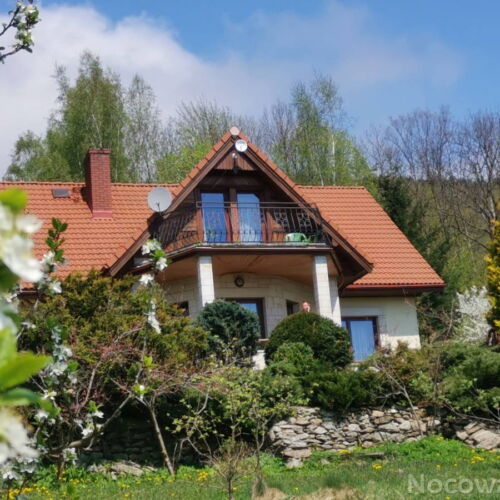 Domek drewniany 10-osobowy 