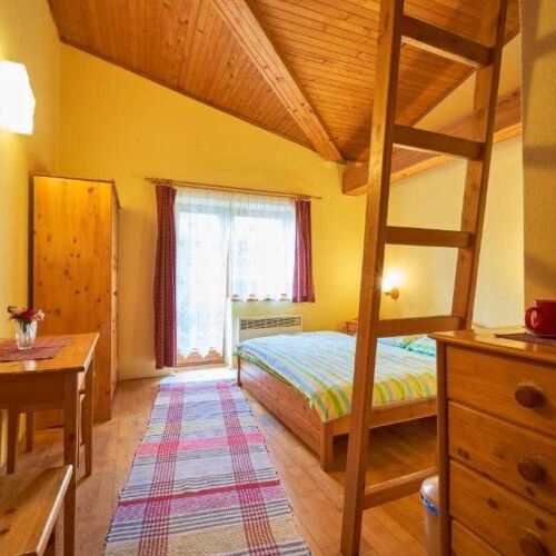 Pokój 2-osobowy z prysznicem z balkonem (możliwa dostawka)