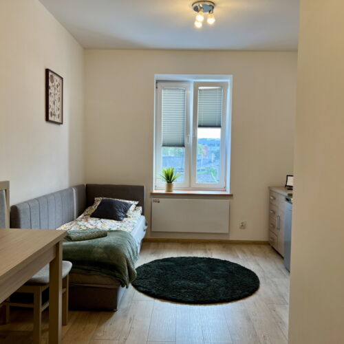 Economy Upstairs Apartment for 1 Person