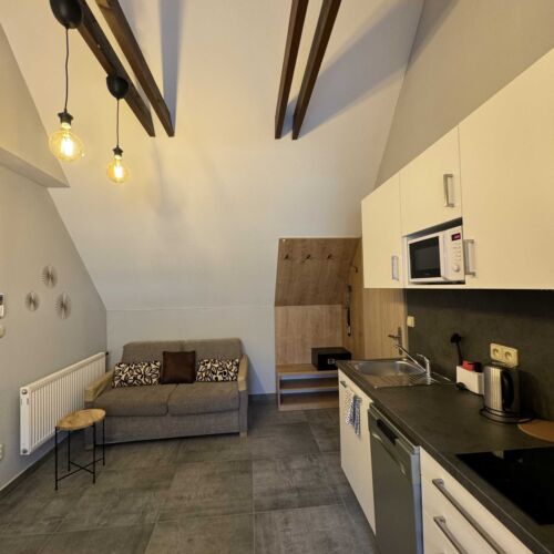 Apartman se sprchou s vlastní kuchyňkou pro 4 os. (s možností přistýlky)