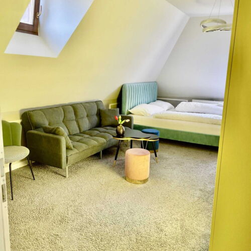 Apartmán so sprchou s vlastnou kuchynkou s manželskou posteľou s 1 spálňou (s možnosťou prístelky)