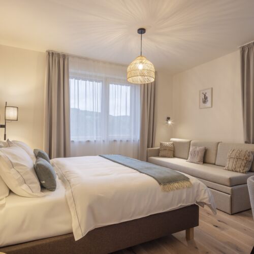 Standard Apartman s terasou pro 3 os. s 1 ložnicí (s možností přistýlky)