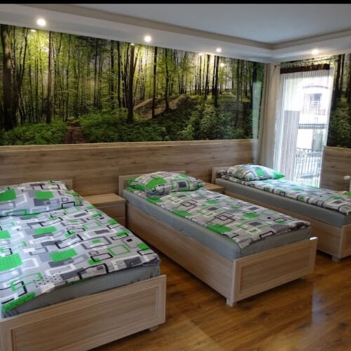 Apartament 3-osobowy z balkonem z widokiem na ogród z 1 pomieszczeniem sypialnianym