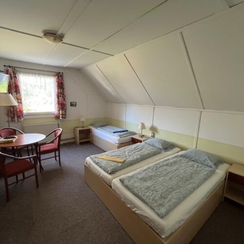 Comfort Triple Room with Shared Kitchenette