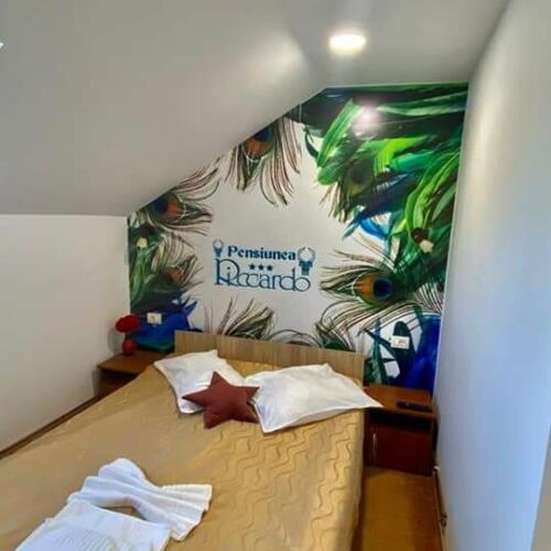 Camera dubla cu baie