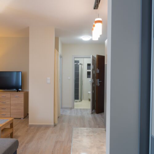 Apartament 4-osobowy z prysznicem z widokiem na góry z 1 pomieszczeniem sypialnianym