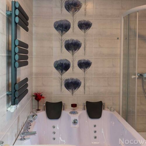 Apartament 4-osobowy z prysznicem z widokiem na góry