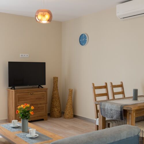 Apartament 4-osobowy z prysznicem z widokiem na góry z 1 pomieszczeniem sypialnianym