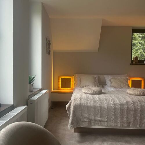 Camera dubla cu baie cu vedere spre munte (se poate solicita pat suplimentar)