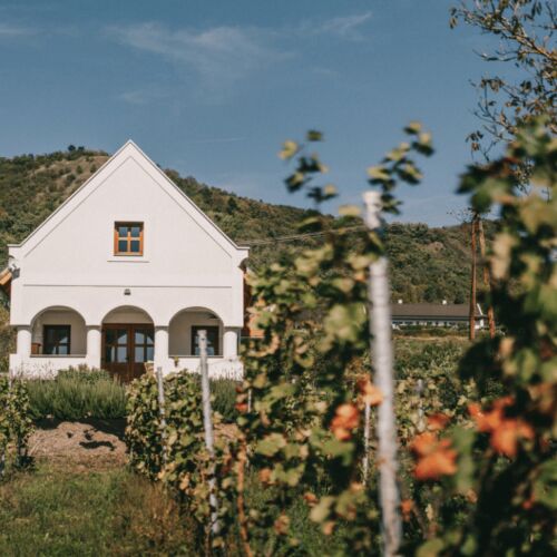 House (jako celek) pro 6 os. s výhledem na hory celý Dům (s možností přistýlky)