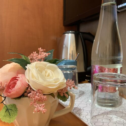 Economy Bronze soba sa dva odvojena kreveta