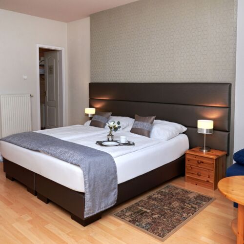 Apartament studio la parter cu 1 camera pentru 2 pers. (se poate solicita pat suplimentar)