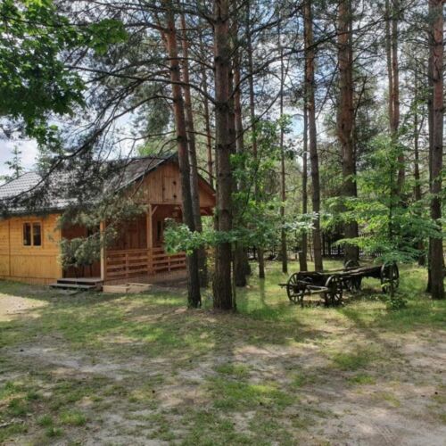 Cabană cu cadă pentru 5 pers. (se inchirieaza doar integral)