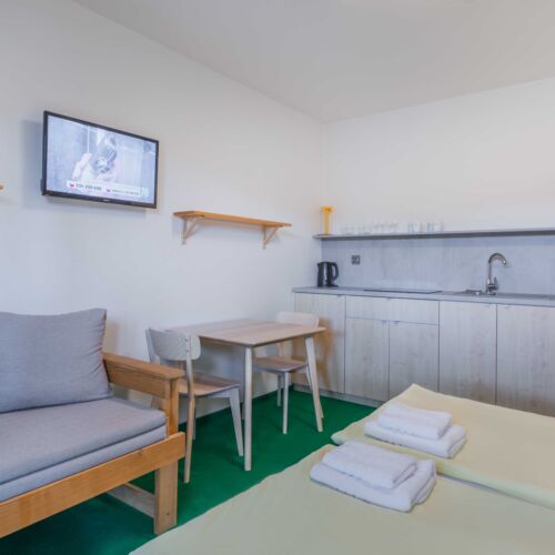 Camera twin studio cu duș