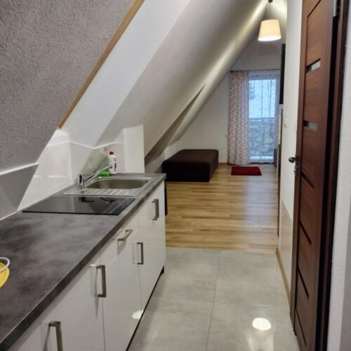 Apartament 4-osobowy z 1 pomieszczeniem sypialnianym