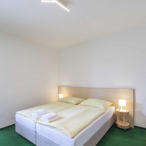 Camera twin standard cu duș