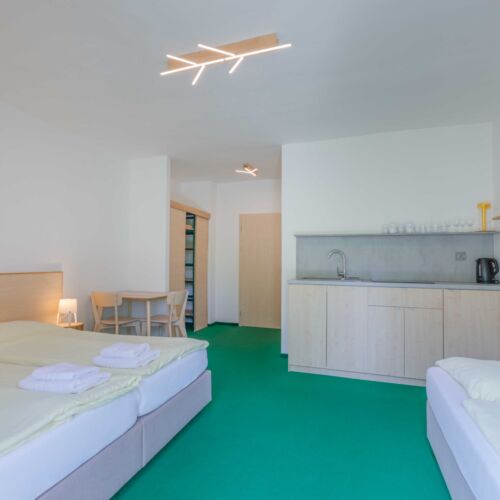 Camera tripla studio cu duș