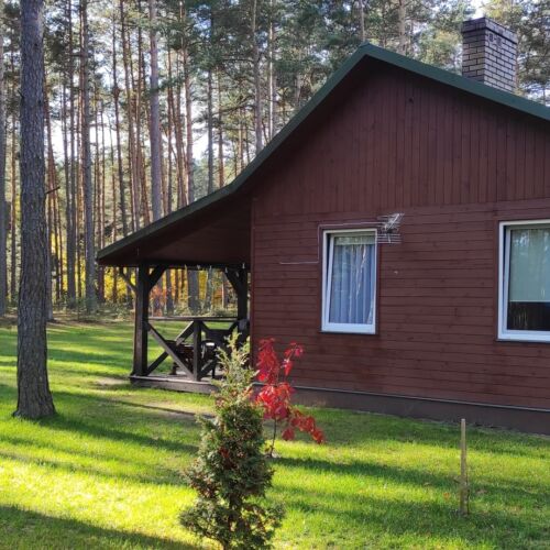 Casă de vacanță cu vedere spre pădure pentru 5 pers. (se inchirieaza doar integral)