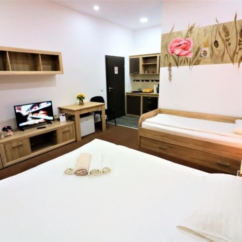 Apartament cu 1 camera pentru 4 pers.