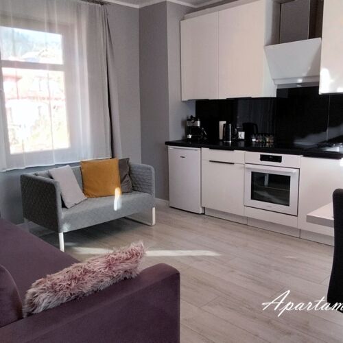 Camera cvadrupla familial(ă) cu vedere la pârtia de schi