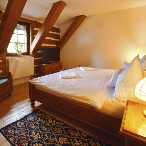 Pokoj se sprchou  pro 2 os. (s možností přistýlky)