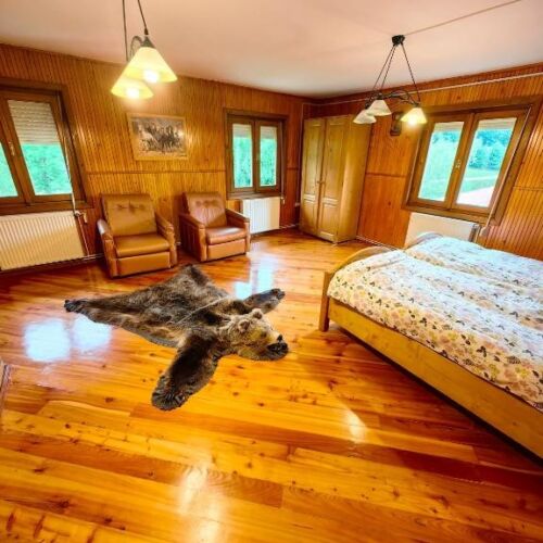 Camera dubla deluxe cu vedere spre munte