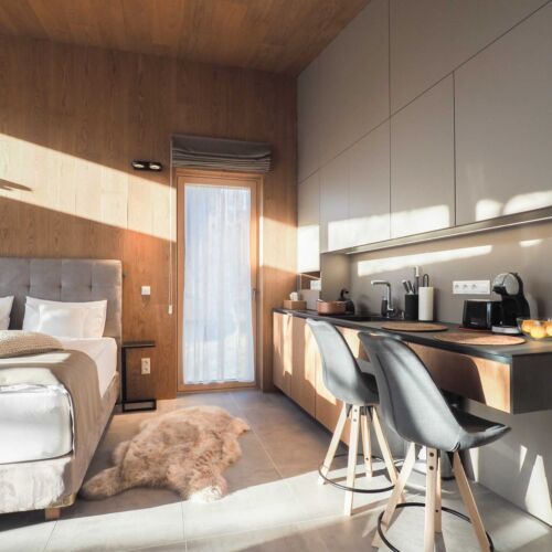 1-Room Apartment for 2 Persons (extra beds available)