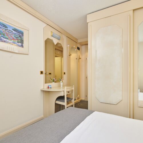 Camera single economy spre parc