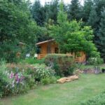 Domek weekendowy 2-osobowy parterowy z widokiem na las