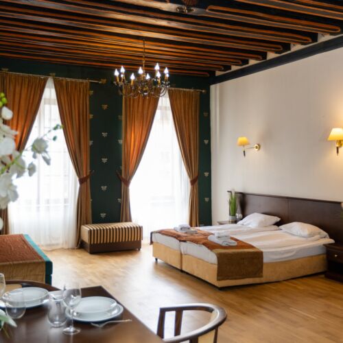 1-Room Apartment for 2 Persons ensuite with Kitchenette (extra beds available)