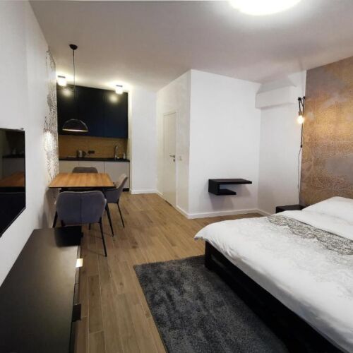 Apartament 2-osobowy Studio z 1 pomieszczeniem sypialnianym
