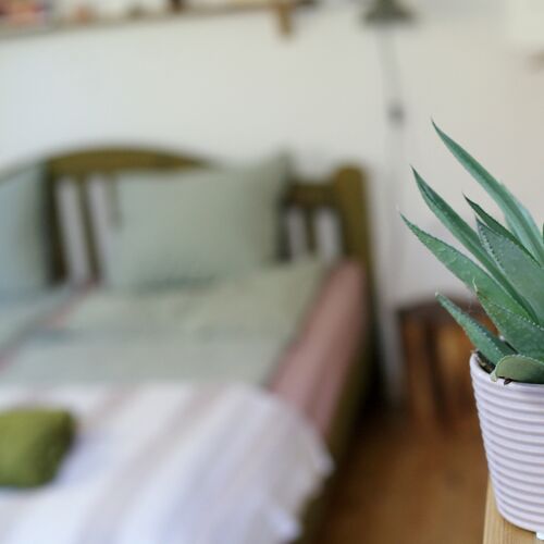 Garden View House for 4 Persons