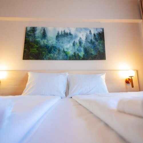 Standard  Pokoj s manželskou postelí