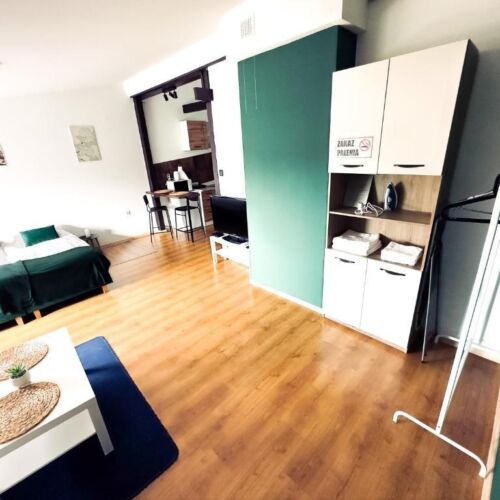 Studio 1-Room Apartment for 4 Persons
