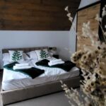 Domek SOŁTYSÓWKA Gliczarów Górny
