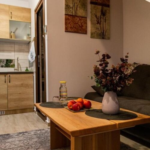 Apartament cu 2 camere pentru 3 pers.