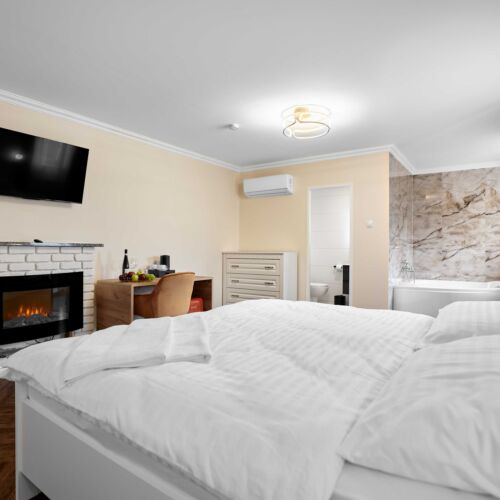 Presidential Pokoj se sprchou pro 2 os.