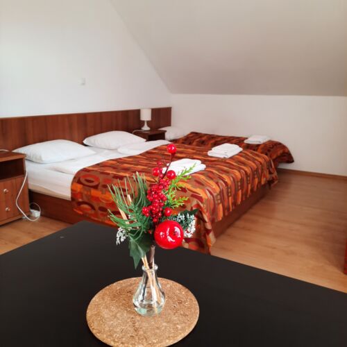 Standard Studio Apartman pro 2 os. s 1 ložnicí (s možností přistýlky)