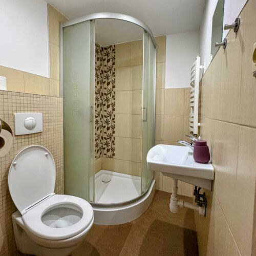 Dvoulůžkový pokoj s vlastní koupelnou