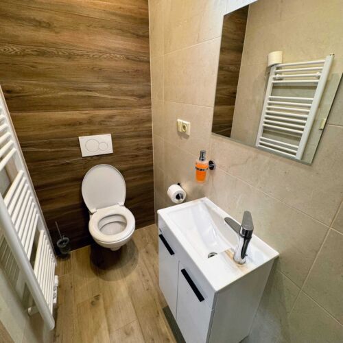 Dvoulůžkový pokoj s patrovou postelí a vlastní koupelnou