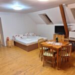 Studio Apartman se sprchou pro 5 os.