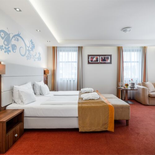 Suita deluxe junior cu 1 camera pentru 2 pers.