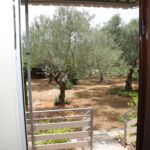 Apartments Araz Vodice