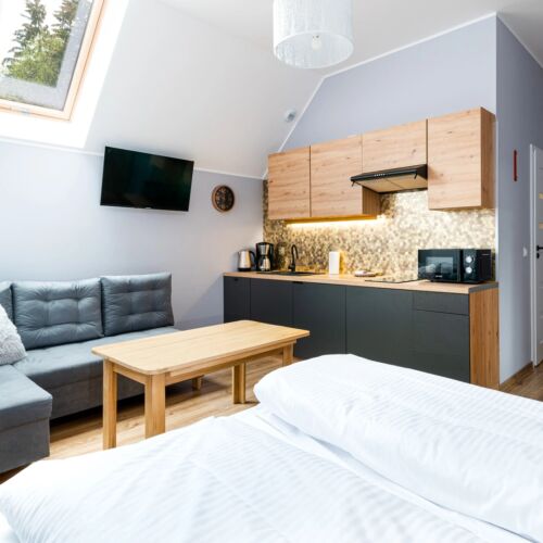 Apartament 2-osobowy z 1 pomieszczeniem sypialnianym