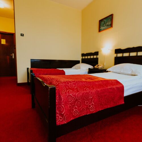 Standard Twin Room (extra bed available)