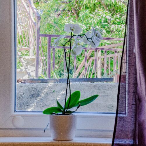 Apartament la parter cu aer condiționat cu 1 camera pentru 2 pers.