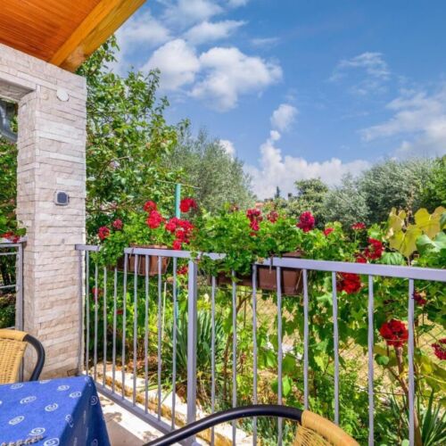 Apartament la parter cu vedere spre grădină cu 1 camera pentru 3 pers.